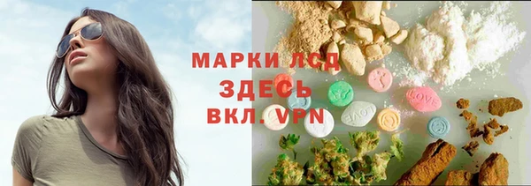 прущие грибы Белоозёрский
