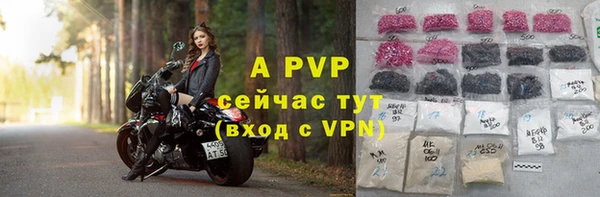 прущие грибы Белоозёрский