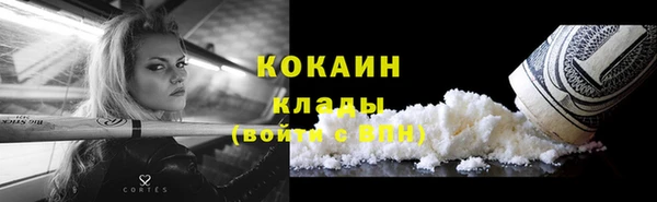 прущие грибы Белоозёрский