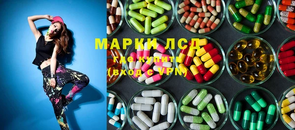 прущие грибы Белоозёрский
