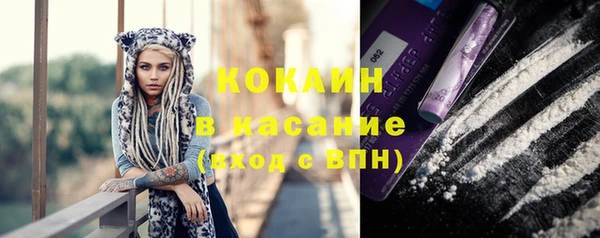 прущие грибы Белоозёрский